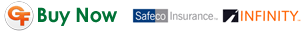 Buy Auto Insurance in Bradenton Florida